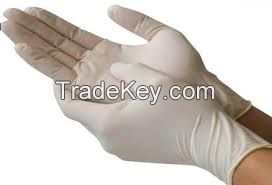 Latex Gloves  ( powder &amp; powder free )