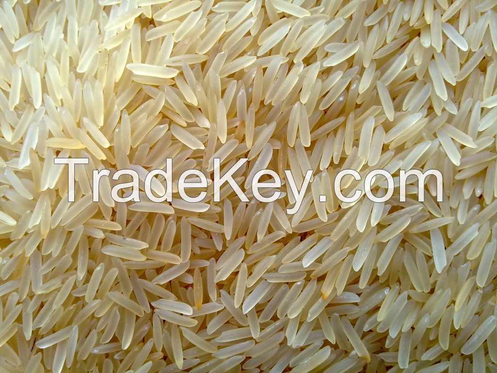 Basmati Rice/ Brown Rice/Broken Rice