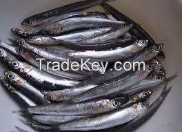 dried Anchovy