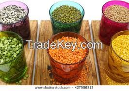 CHICK PEAS, MUNG BEANS, RED LENTILS, YELLOW PEAS