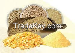 Alfalfa Hay, Yellow Corn, Chicken Feed, Wheat, Animal Feed, Soybean meal