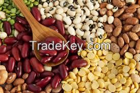 Coffee Beans,Lentils,Mung Beans,Kidney beans,Chick Peas