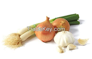 Dry Garlic