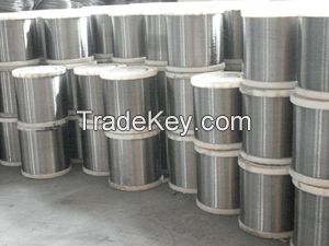 Stainless Steel Scrubber  Wire