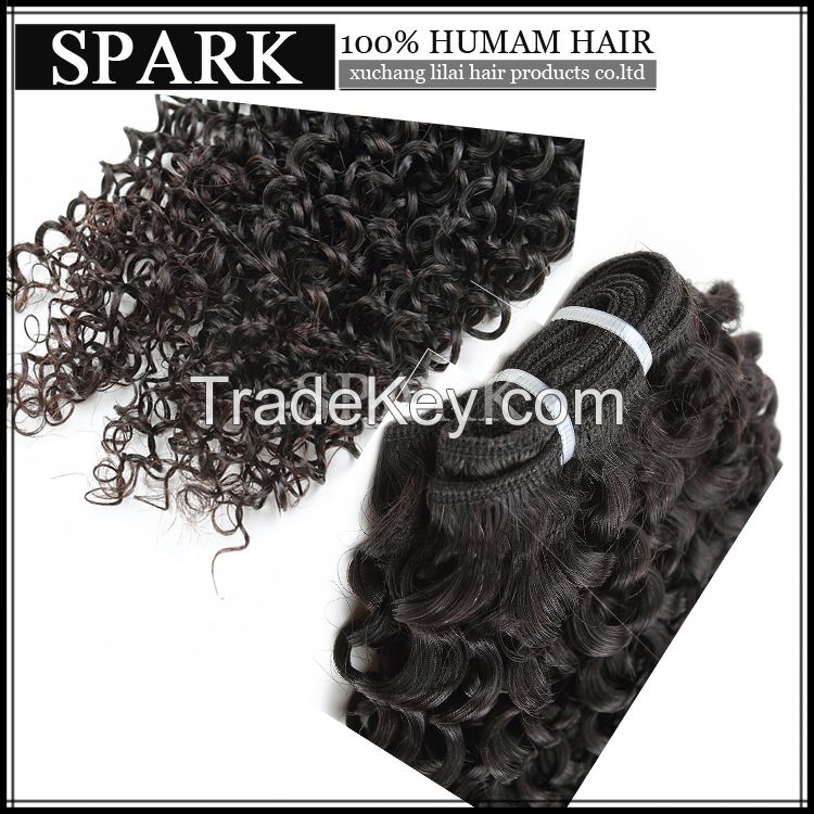 afro curly virgin human hair