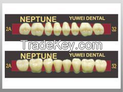 NEPTUNE-acrylic teeth