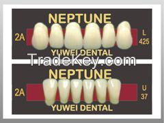 NEPTUNE-acrylic teeth
