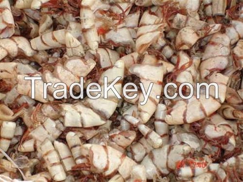 dried shrimp shell with head