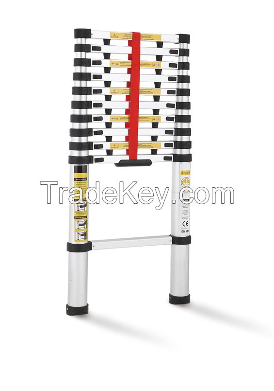 Telescopic Ladder