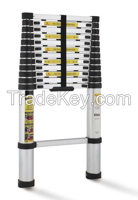 Telescopic Ladder