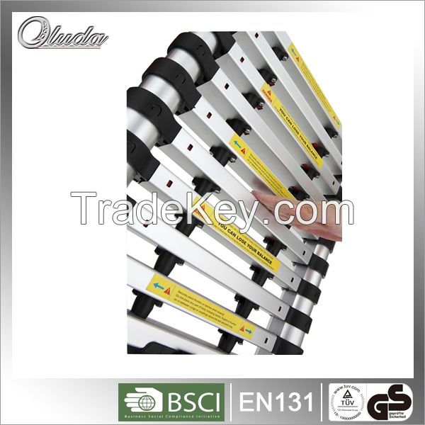 Telescopic Ladder with 3.2E