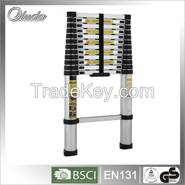 Telescopic Ladder with 10 steps