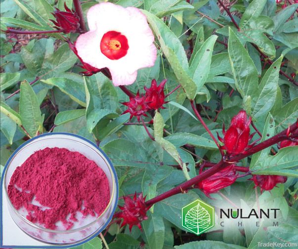 Hibiscus flowers extract