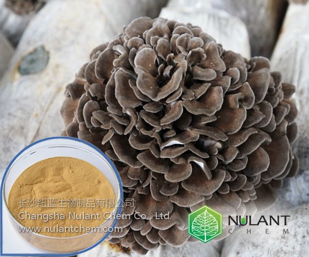 Fungi Mushroom extract Polysaccharides