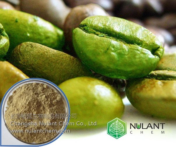 Green Coffee Bean Extract 50% Chlorogenic acid 327-97-9