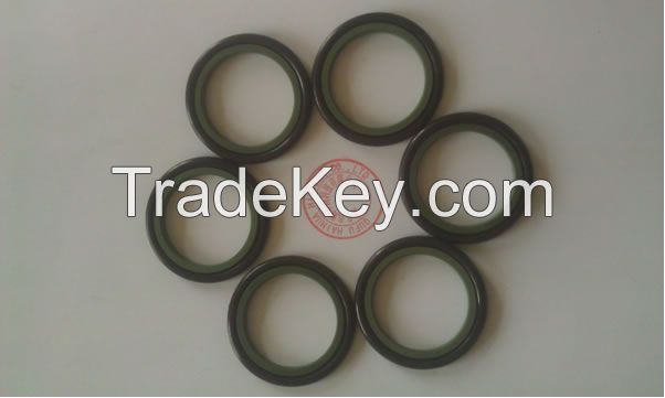 Rod Glyd Ring (GSI)