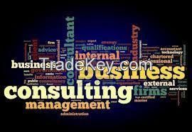 Business Setup Consultant in Dubai