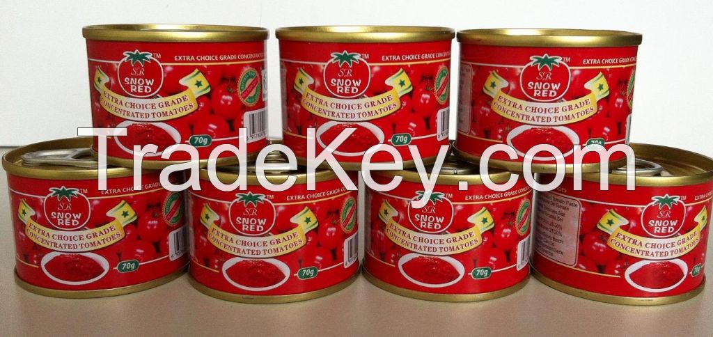 2014 crop canned tomato paste with 