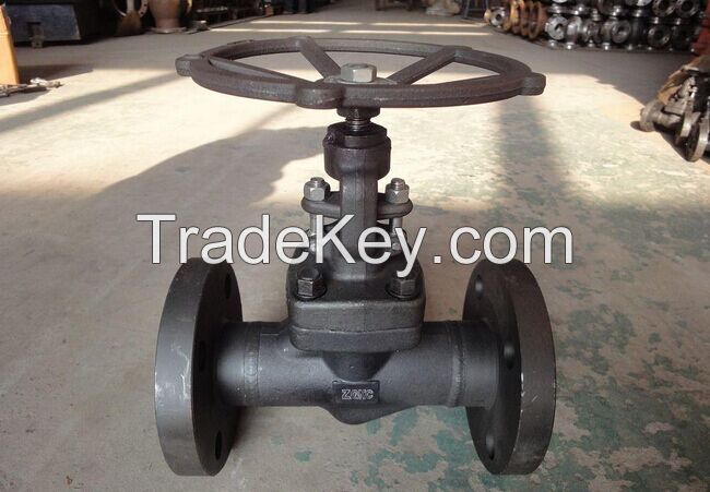 Forged Steel Globe Valve