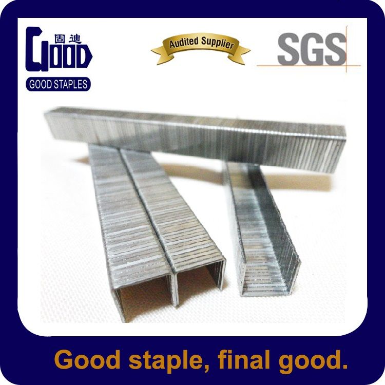 20 Ga Galvanized Nail Furniture Staple (1013J)