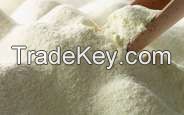 skimmed milk powder 