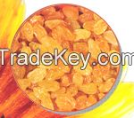 Yellow Golden Small Raisins