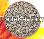 Hulled Sunflower Kernels