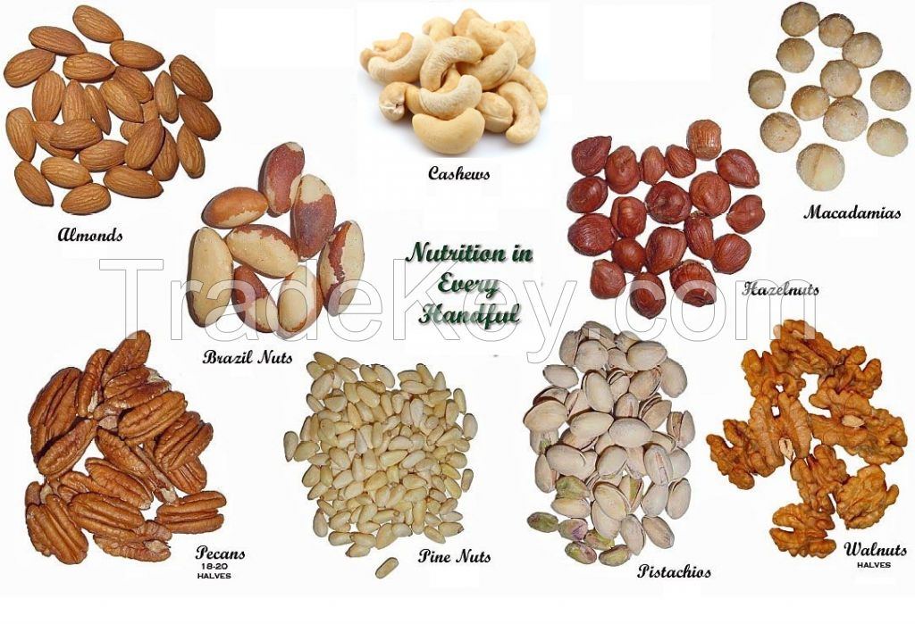 Almond Nuts /Pistachio Nuts/Cashew Nuts/Peanut/Pecan Nuts/Macadamia Nuts/