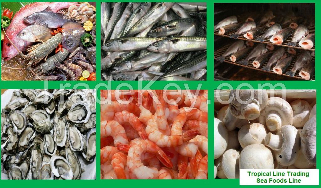 Frozen, Canned and Smoked Sea Food, Fish, Tuna, Mackerel, Hake, Snoek, Oysters, Mushroom