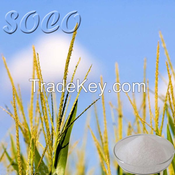 Agricultural Potassium Polyacrylate Aquasorb