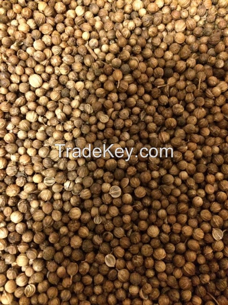 Coriander seed