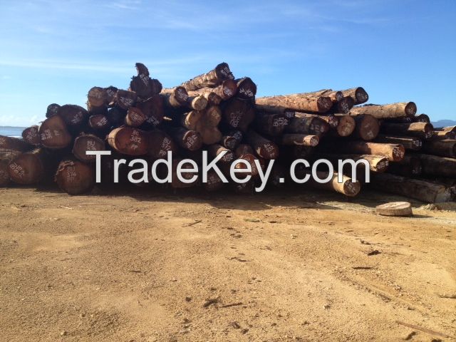Round log exports