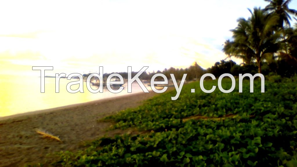 Beach/Land For Sale or Lease for Resort Development