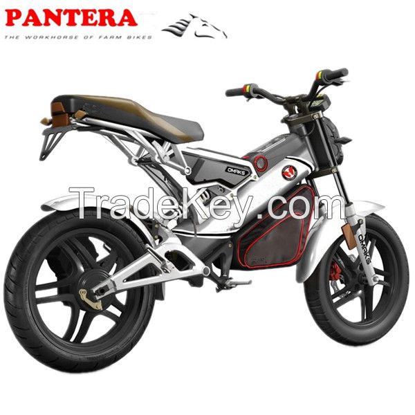 Chinese Powerful Best Selling Electric Motorcycle PT-E001