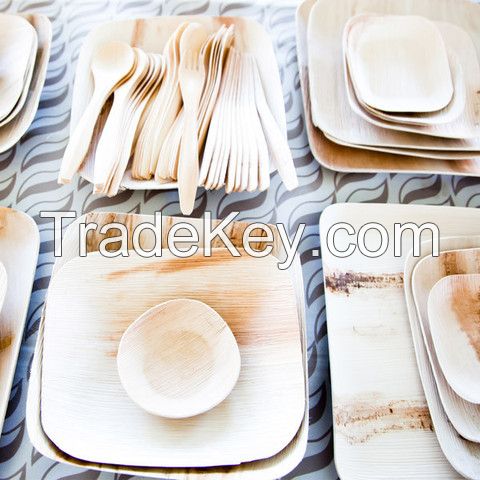 Disposable areca Plates