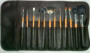 cosmetic brush set