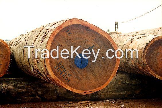 timber logs and sawn timber