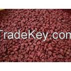 Organic Annatto Seeds / Achiote