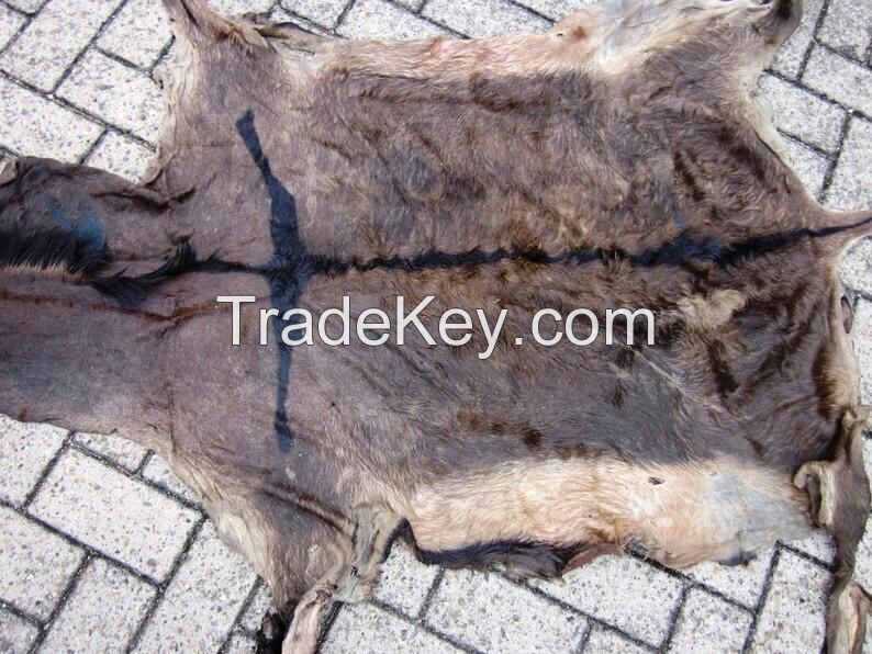 DONKEY HIDE WET SALTED/ SUN DRY DONKY HIDE