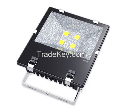 LED Flood Light