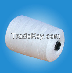 polyester yarn raw white 603