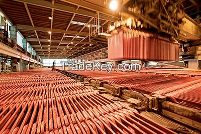 Superior Stainless Stell Copper Cathode