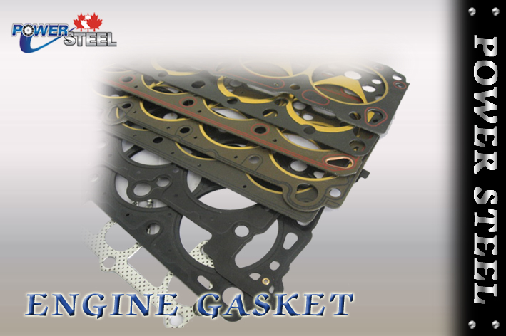 Engine Gasket