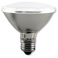 led spot lamp PAR30