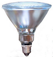 led spot lamp PAR38