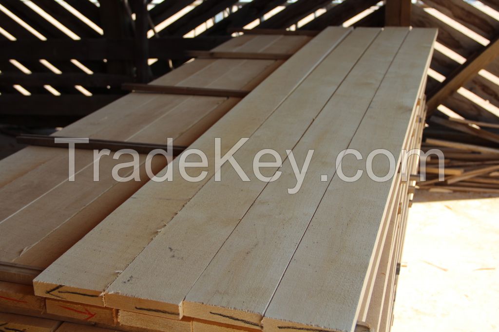 KD birch sawn timber