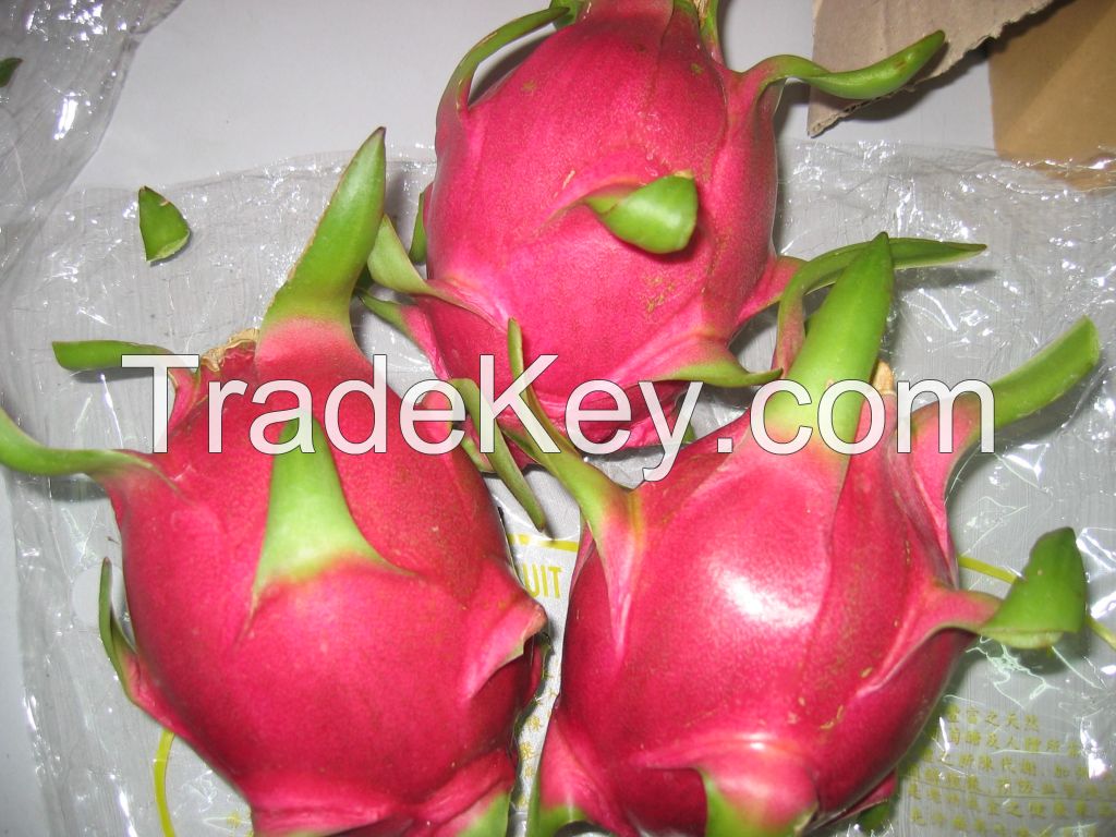 Dragon fruit white and red flesh