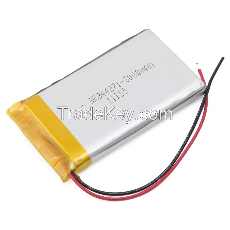 China lithium battery high power deep cycle rechargeable lipo battery for tablet PC and solar system
