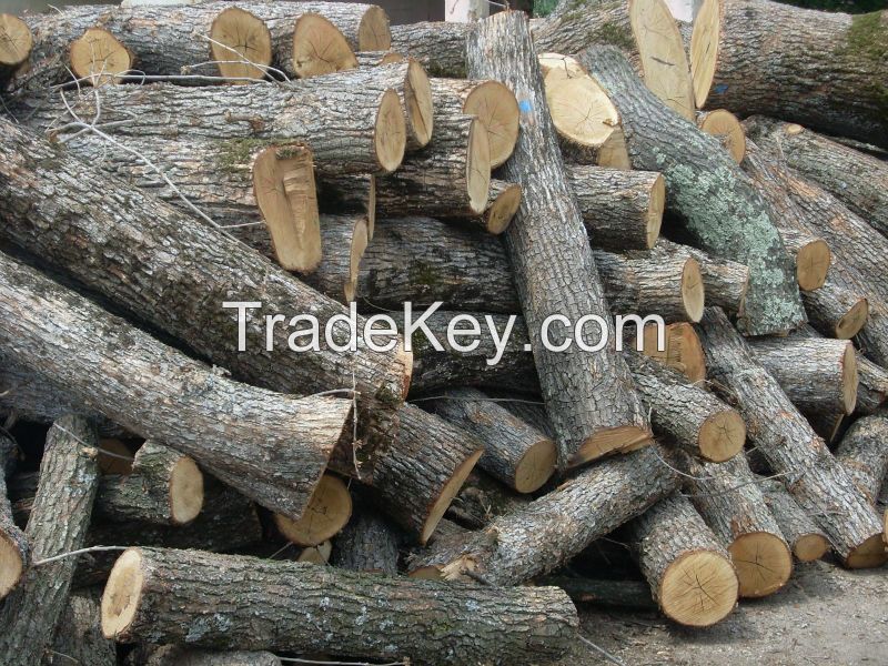 BEST QUALITY OAK FIRE WOOD AVAILABLE FOR SALE