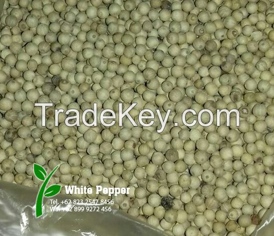 White Pepper